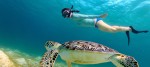 Snorkeling In Hurghada