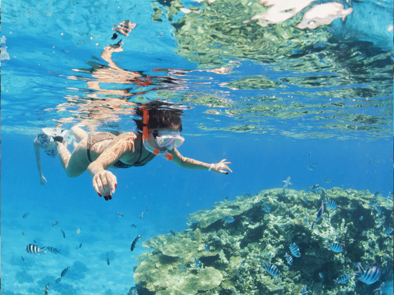 El Gouna Red Sea Snorkeling Trip from Hurghada