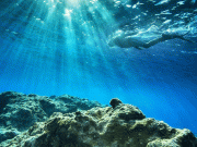 Day Tour to Giftun Island from Hurghada