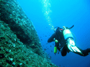 Diving Tour in Hurghada
