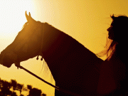 Hurghada Horse Ride: Sea and Desert Tour