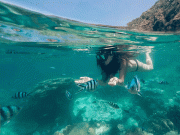 Snorkeling trip , Hurghada