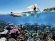 From Hurghada: Sharm El Naga Full-Day Snorkeling Tour